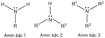 Lý thuyết về amin hay chi tiết nhất 3