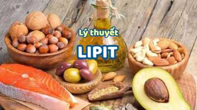 Lý thuyết về Lipit đầy đủ nhất 5