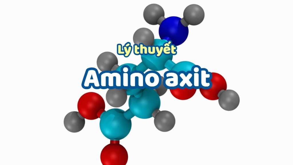 Amino Axit Cấu Trúc, Tính Chất và Ứng Dụng