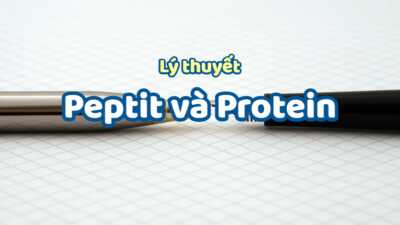 Lý thuyết về peptit và protein hay chi tiết nhất 9