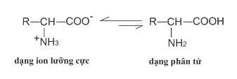 Lý thuyết amino axit chi tiết dễ hiểu 4