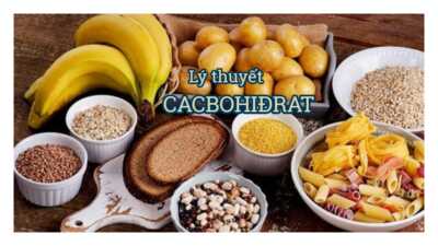 Lý thuyết Cacbonhiđrat và dạng bài đốt cháy cacbohiđrat 4