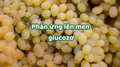 Dạng toán phản ứng lên men của glucozơ cực chi tiết 2