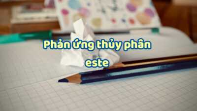 Phản ứng thủy phân và phương pháp giải toán este 7