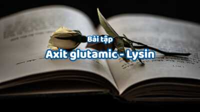 10 bài tập về axit glutamic và  lysin hay gặp có đáp án giải chi tiết 4