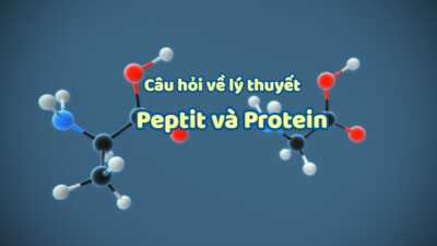 20 câu hỏi về lý thuyết peptit và protein hay gặp 9