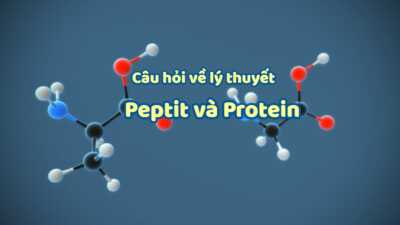 20 câu hỏi về lý thuyết peptit và protein hay gặp 5