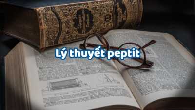 Lý thuyết về Peptit hay chi tiết và dễ hiểu nhất 6