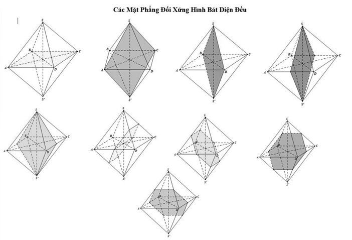25 câu bài tập Khối diện đều - Khối đa diện lồi có lời giải chi tiết nhất 13