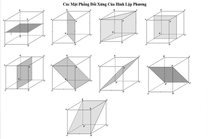 25 câu bài tập Khối diện đều - Khối đa diện lồi có lời giải chi tiết nhất 14