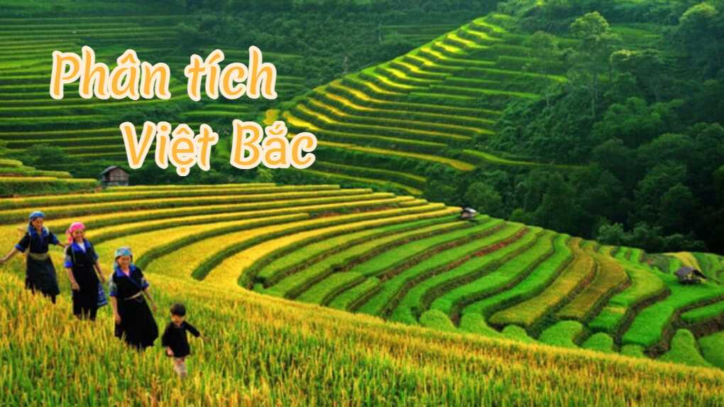 Phân tích bài thơ Việt Bắc - dàn ý chi tiết và 5 bài mẫu hay nhất 2