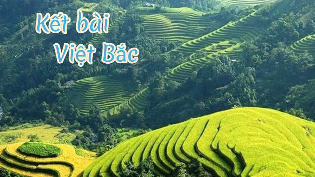 Top 10 mẫu kết bài Việt Bắc hay nhất 2