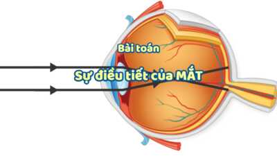 Cách giải bài tập liên quan đến sự điều tiết của mắt cực chi tiết 11