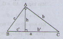 Hệ thức lượng trong tam giác và giải tam giác - Lý thuyết và bài tập có đáp án 12