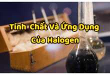 Halogen - Tính chất quan trong và các ứng dụng của nhóm Halogen 9