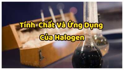 Halogen - Tính chất quan trong và các ứng dụng của nhóm Halogen 1