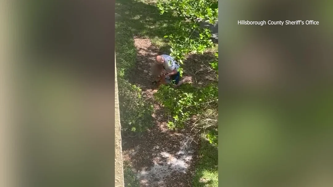 What Drives A Man to Attack a Child? Shocking Incident in Tampa Raises Alarming Questions