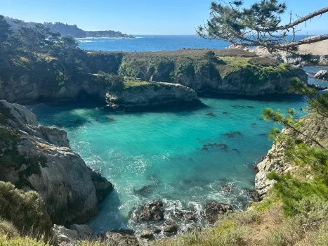Discover California’s Hidden Gems: Which State Parks Top the Charts for Adventure?