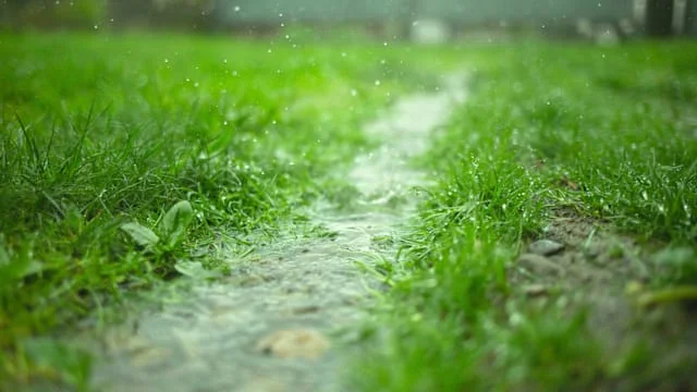 Will Florida’s Skies Turn Mother’s Day Upside Down?