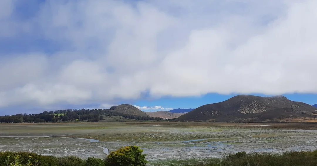 From Scorching Summer Swelter to Sudden Chill: Is California’s Weather on a Wild Ride?