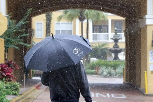 Can Rainy Days in Florida Turn the Tide on Drought and Wildfires?