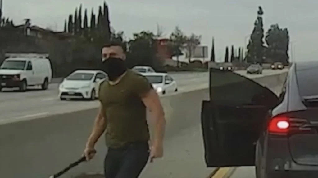 What Drives a Man to Rage Across Continents? The Tesla Driver’s Latest Fury