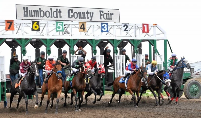 Could This Be the Final Lap for Northern California’s Beloved Horse Racing Legacy?