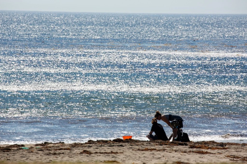 Will Southern California’s Chilly Weekend Spark a Fiery Heatwave Turnaround?