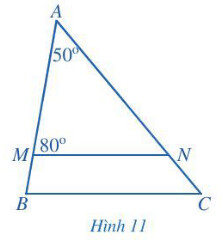 Giải SGK bài Tổng các góc trong tam giác Toán 7 Cánh Diều tập 2 13