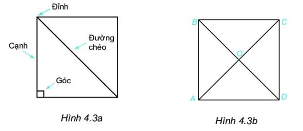 Giải SGK bài 18 Hình tam giác đều. Hình vuông, hình lục giác đều Toán 6 Kết nối tri thức tập 1 26
