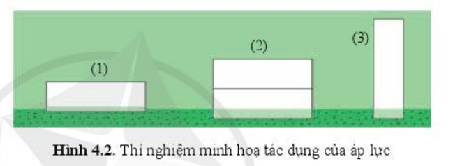 Giải SGK bài 4 Khối lượng riêng, áp suất chất lỏng Chủ đề 2 Vật lí 10 Cánh diều 6