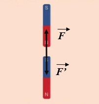 Giải SGK bài 3 Ba định luật Newton về chuyển động Vật lí 10 Cánh diều 10