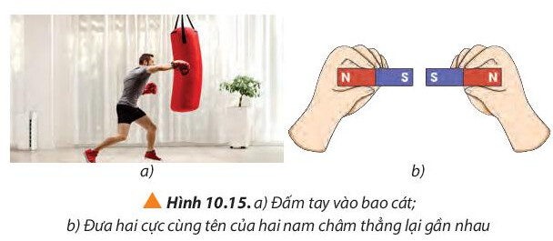 Giải SGK Bài 10 Ba định luật Newton về chuyển động Vật Lí 10 Chân trời sáng tạo 20