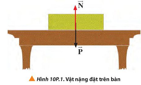 Giải SGK Bài 10 Ba định luật Newton về chuyển động Vật Lí 10 Chân trời sáng tạo 22