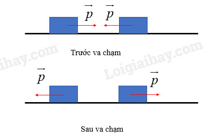 Giải SGK bài 1 Động lượng và định luật bảo toàn động lượng Vật lí 10 Cánh diều 5